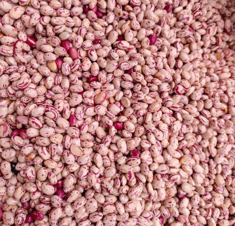 whatsapp image 2025 07 28 at 07.15.48