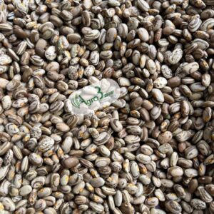 whatsapp image 2025 08 25 at 13.41.14 (1)