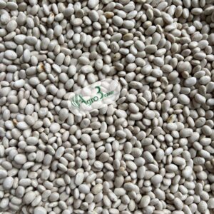 whatsapp image 2025 08 25 at 13.41.15