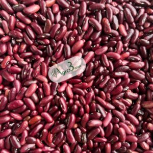 whatsapp image 2025 08 25 at 13.41.16 (1)