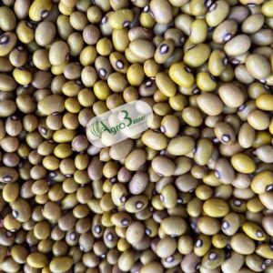 whatsapp image 2025 08 25 at 13.41.17 (1)