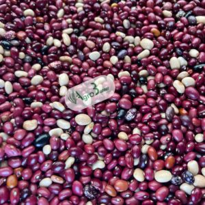 red cranberry/mantawa