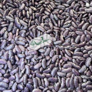 whatsapp image 2025 08 25 at 13.41.19 (2)