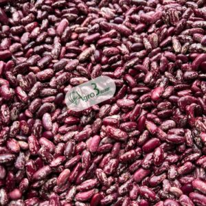 whatsapp image 2025 08 25 at 13.41.19