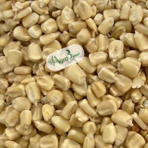 whatsapp image 2025 08 25 at 13.41.20 (2)