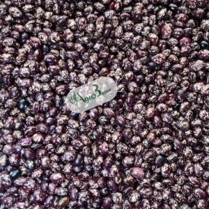 colombian / kawetele