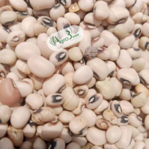 white cowpeas