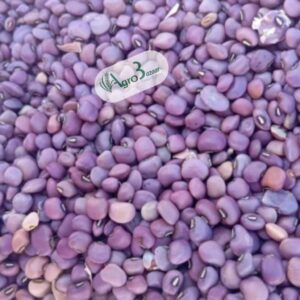 red cowpeas