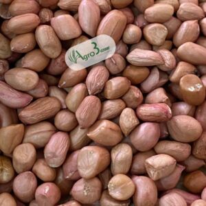 whatsapp image 2025 08 25 at 13.41.21