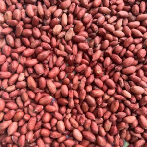 red peanut