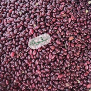 red, black & white cranberry/mantawa