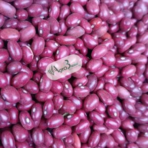 red, black & white cranberry/mantawa